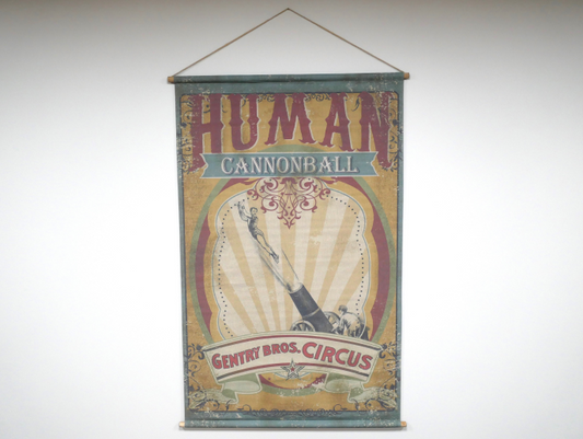 Wall Art - Cannonball