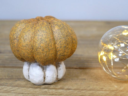 Small Pumpkin