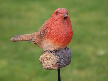 Robin On Stake