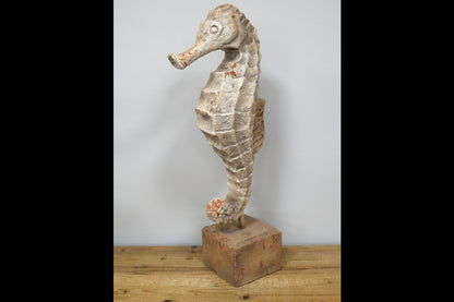 Seahorse