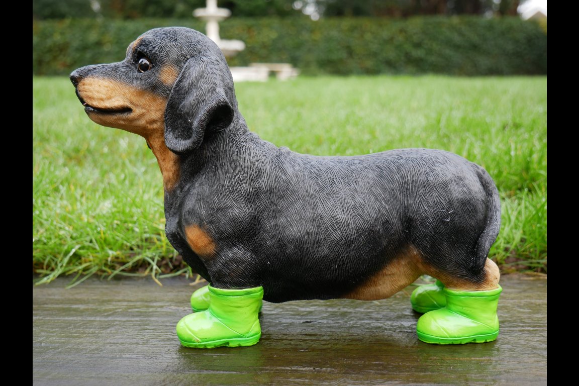 Dog In Boots