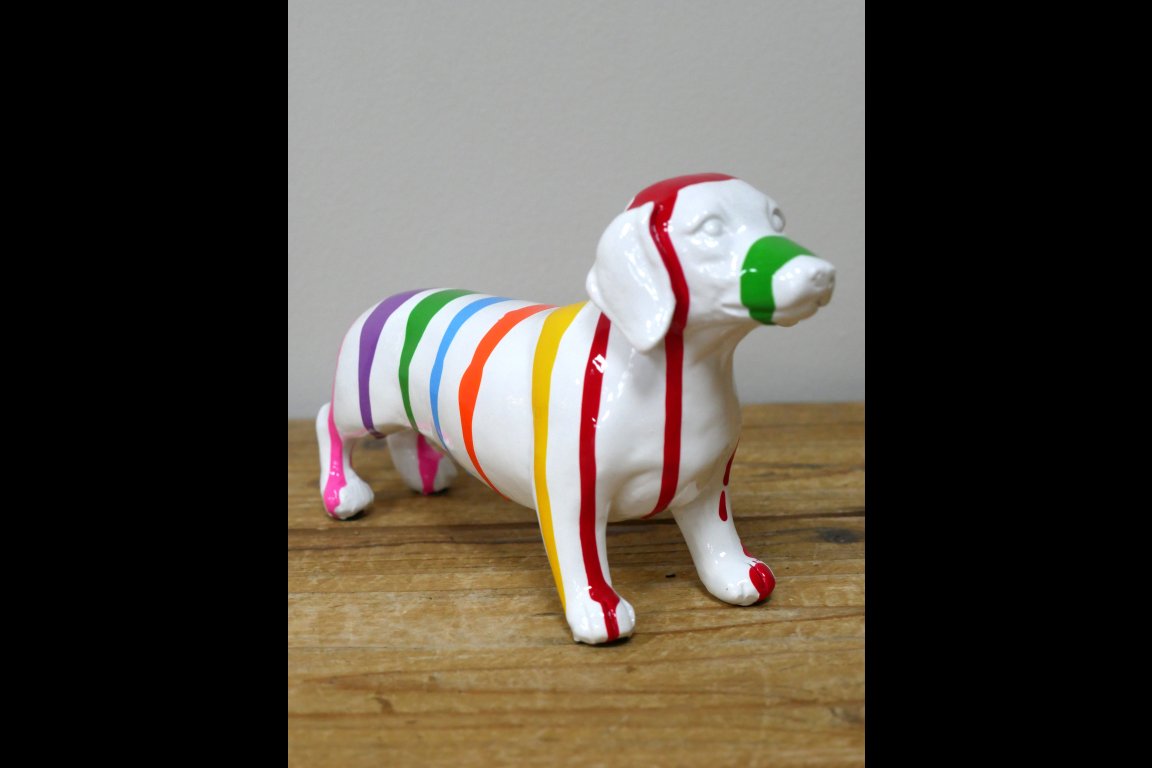 Dog With Stripes