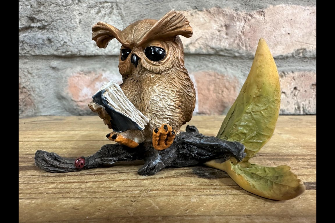 Owl Reading