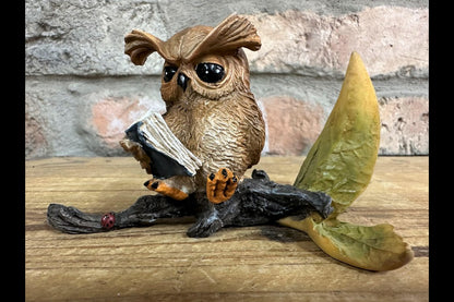 Owl Reading