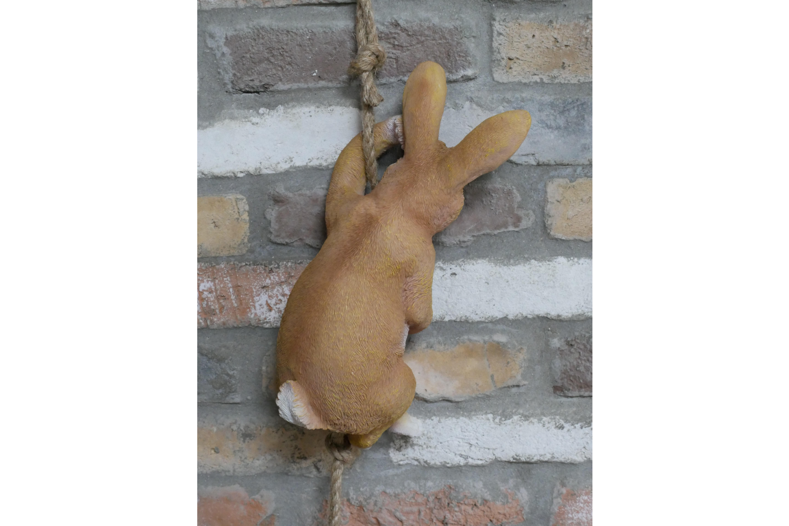 Hanging Rabbit