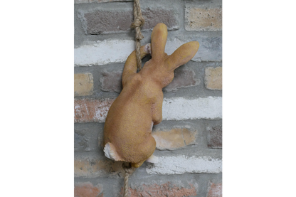 Hanging Rabbit