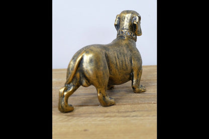 Sausage Dog