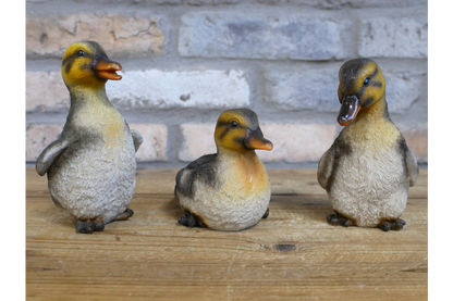 Set Of 3 Ducks
