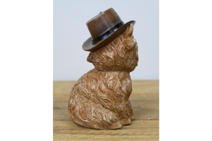 Highland Cow With A Hat