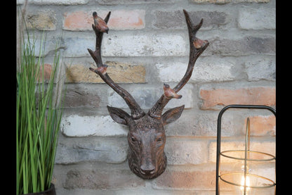 Stag Head