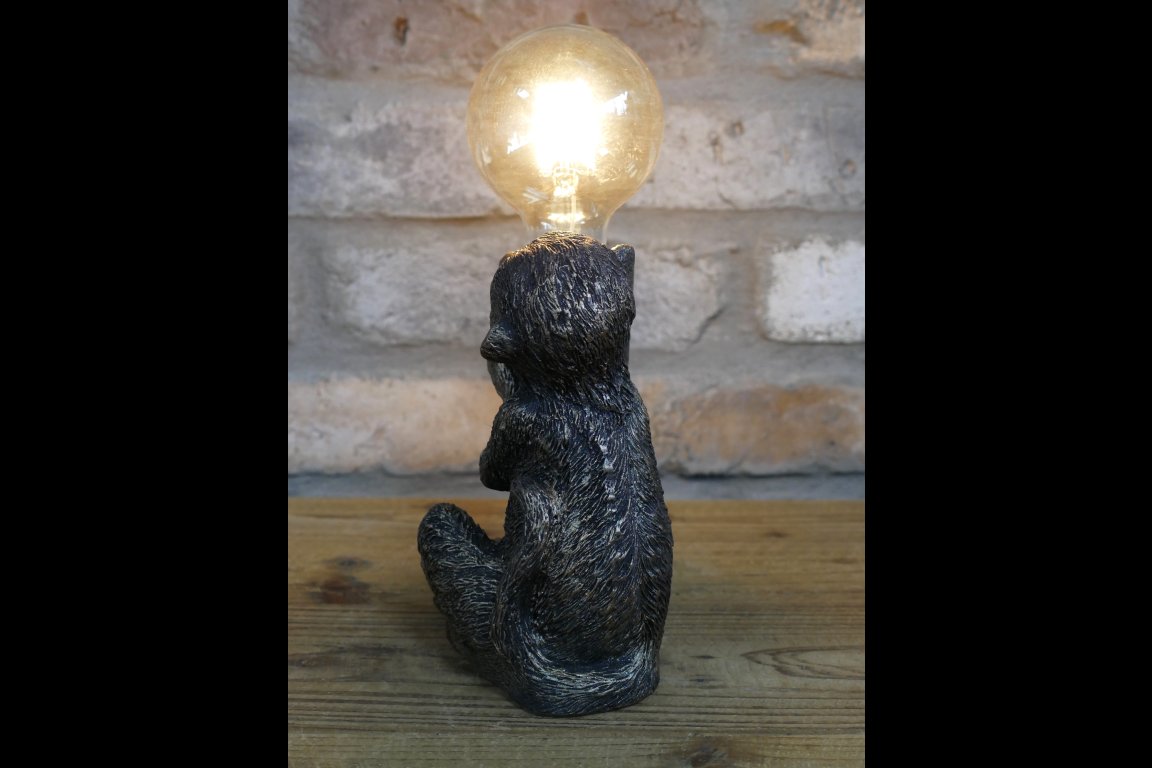 Monkey Light