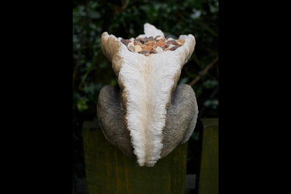 Squirrel Feeder