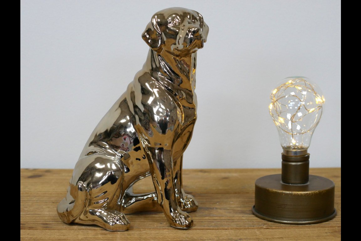 Golden Dog
