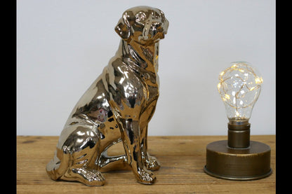Golden Dog