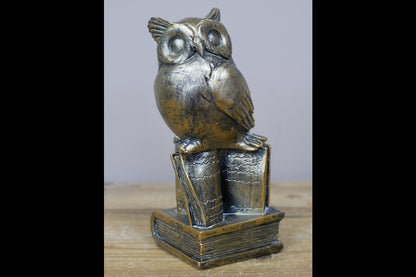 Owl Stood On Books
