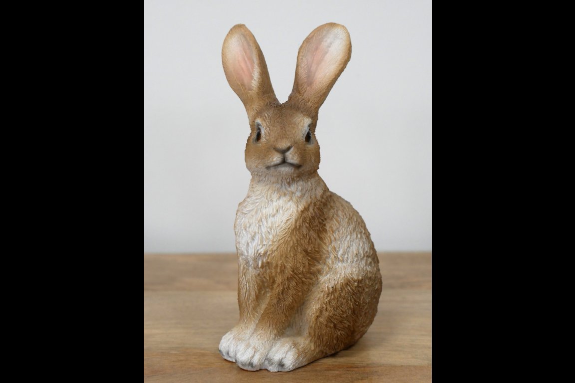 Rabbit