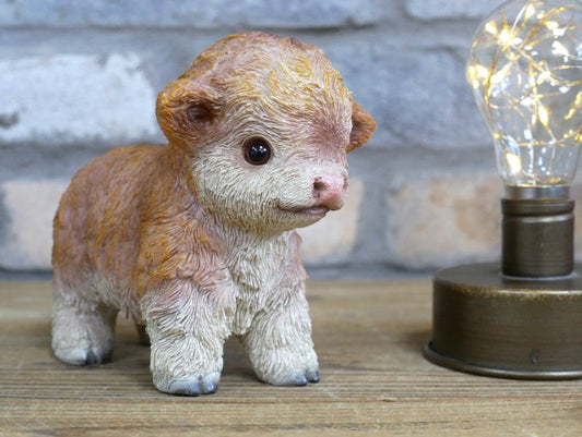 Tiny Baby Cow