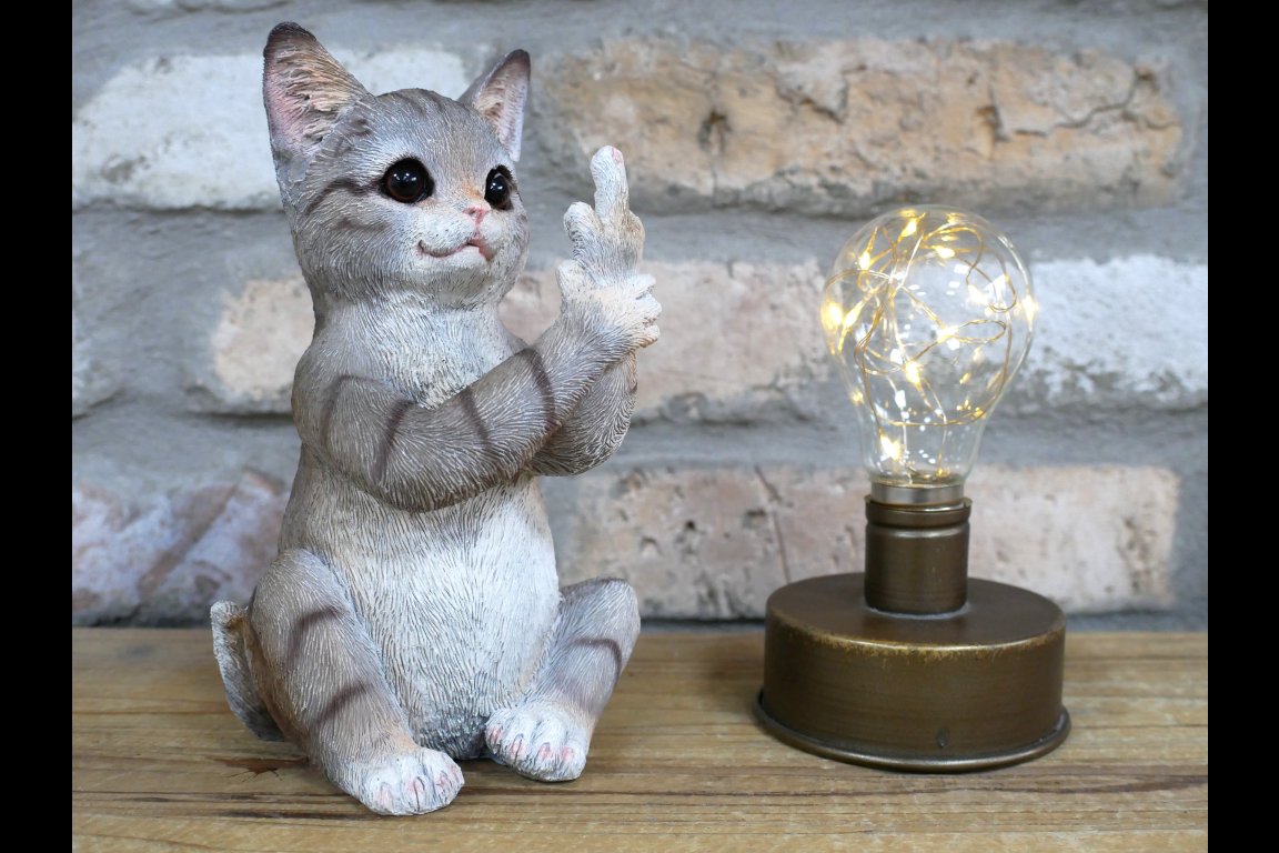 Up Yours Cat
