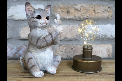Up Yours Cat