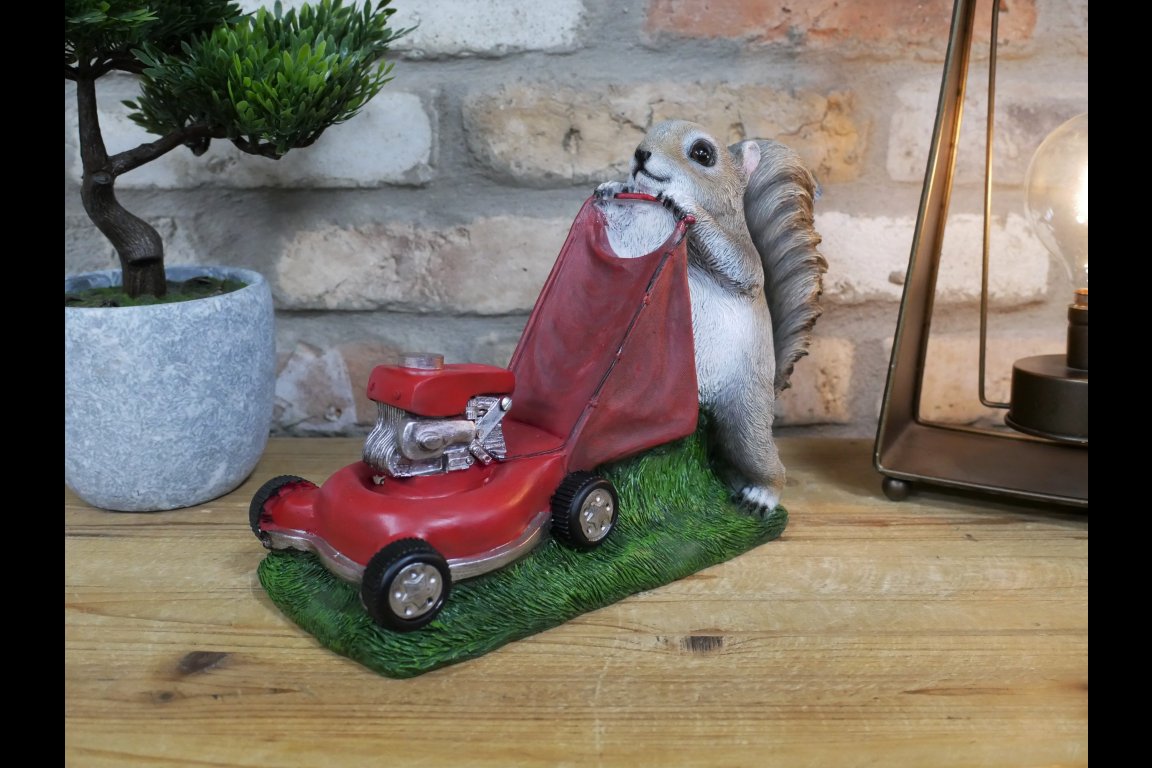 Squirrel Grasscutter