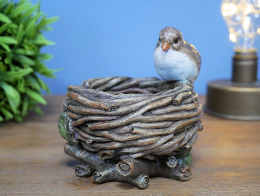 Bird Nest Bowl