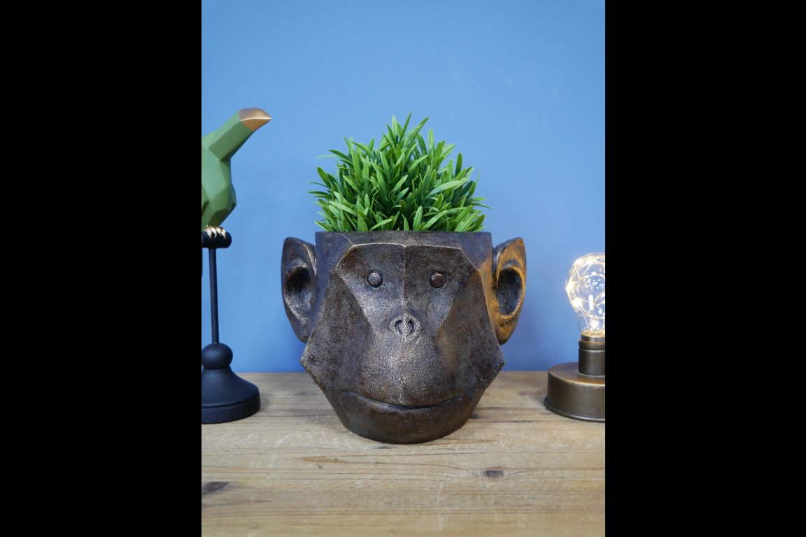 Monkey Head Planter