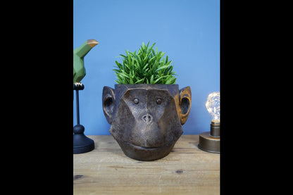 Monkey Head Planter