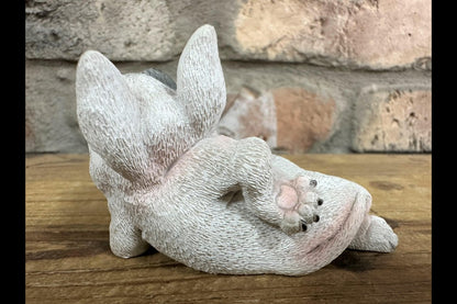 Smirking Dog