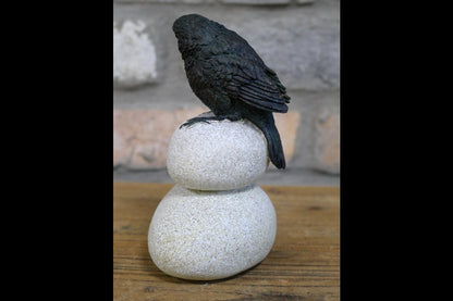 Bird Stood On Pebbles