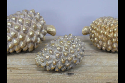 Set Of Three Pinecones