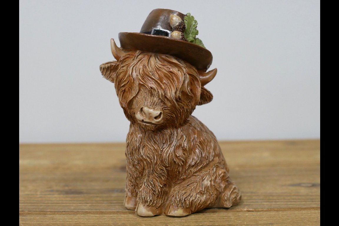 Highland Cow With A Hat