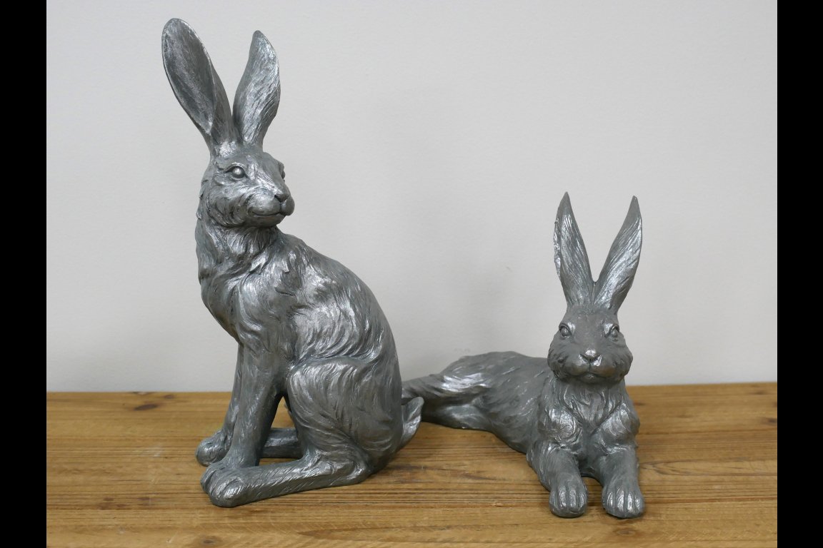 Laying Hare