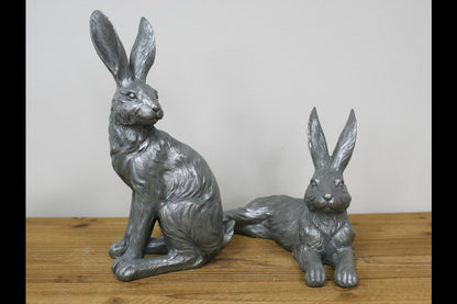 Laying Hare