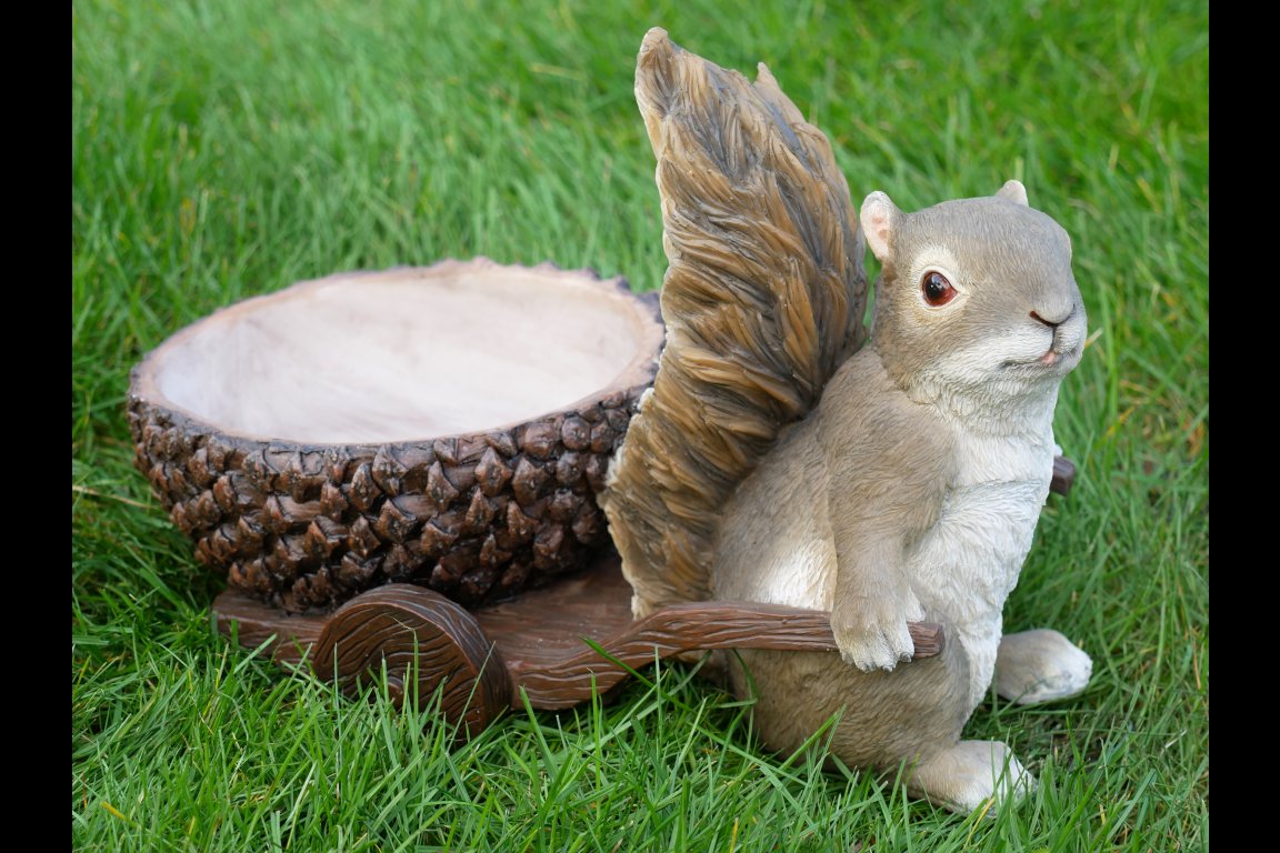 Squirrel With Acorn Trailer
