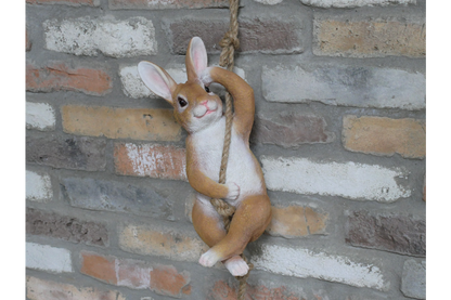 Hanging Rabbit