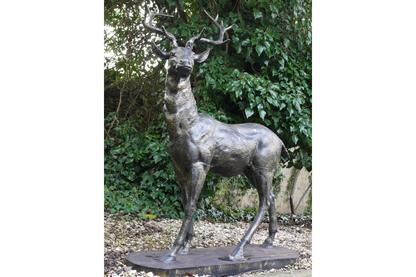 Standing Stag (Looking Right)