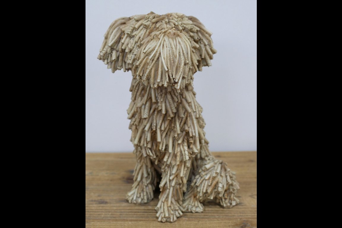 Sitting Shaggy Dog