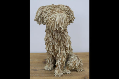Sitting Shaggy Dog