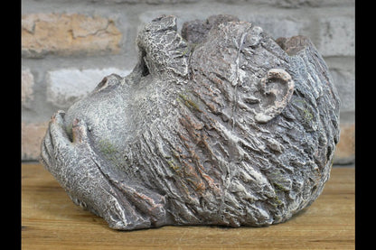 Monkey Head Planter