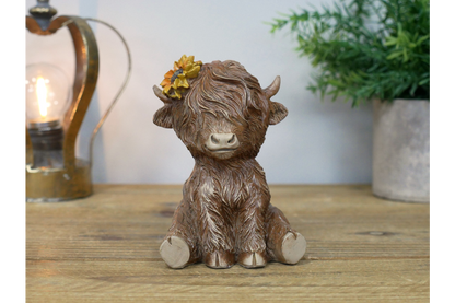 Sitting Highland Cow