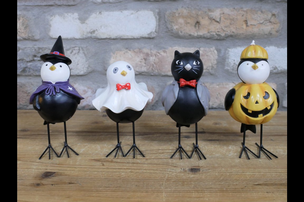Set Of 4 Scary Birds