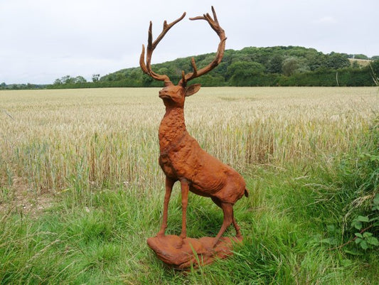Rusty Stag
