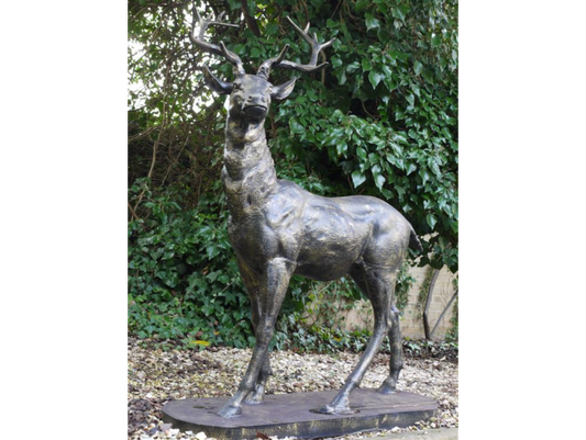 Standing Stag (Looking Right)