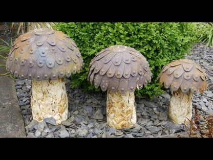 Mushrooms (Set of 3)