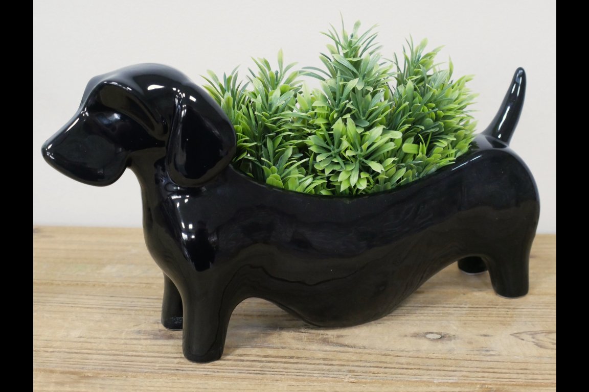 Sausage Dog Planter
