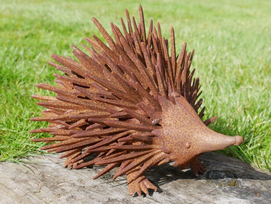 Rusty Hedgehog