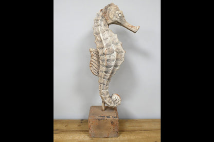Seahorse