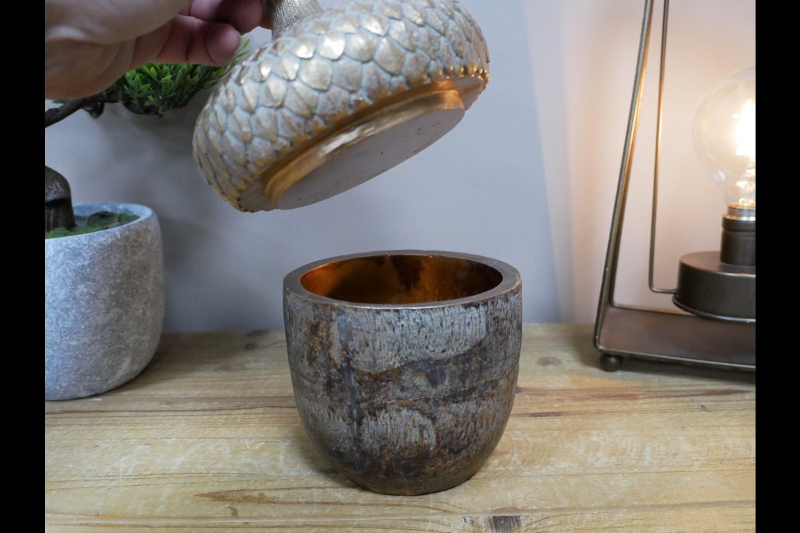 Acorn