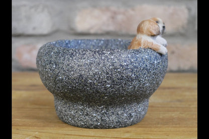 Small Dog Trough