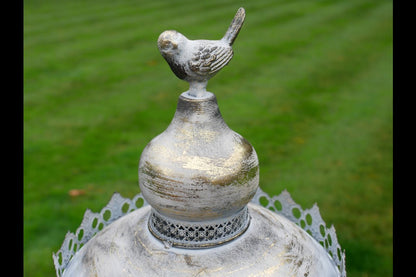 Bird Feeder